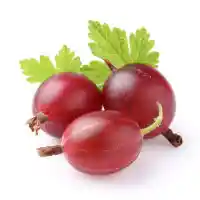 angrešt4